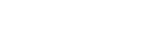 MICRO DATASOFT